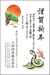 年賀状 カラー印刷 №301　10枚～100枚
